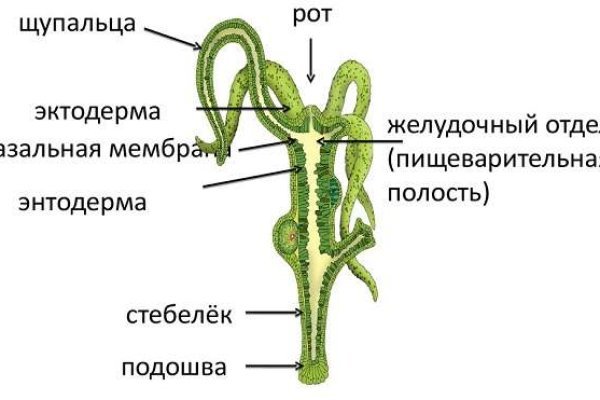 Кракен через браузер