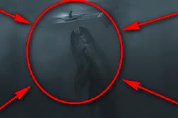 Kraken актуальные зеркала krakentor site