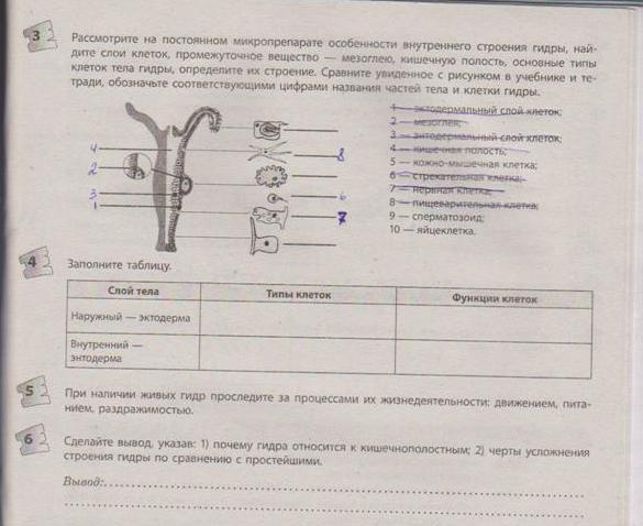 Кракен купить гашиш
