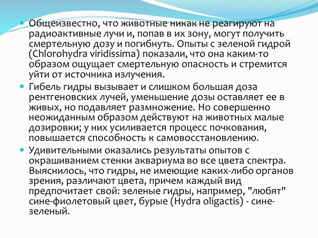Кракен лучший маркетплейс